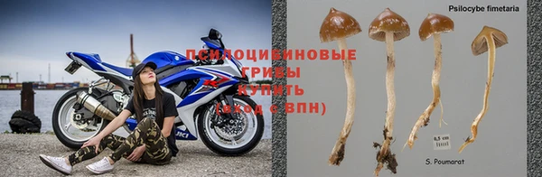 дмт Армянск